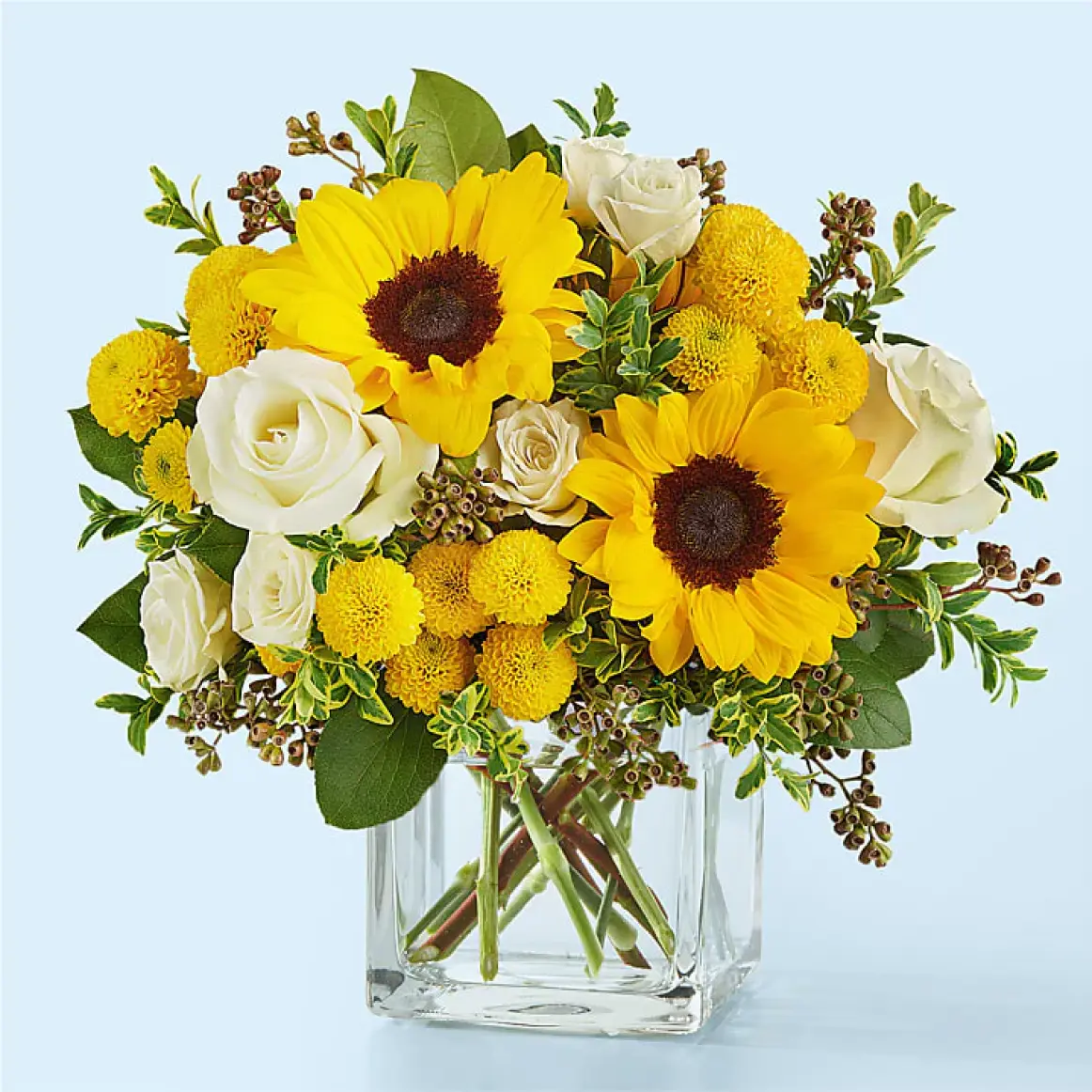 Imagen de tarjeta
